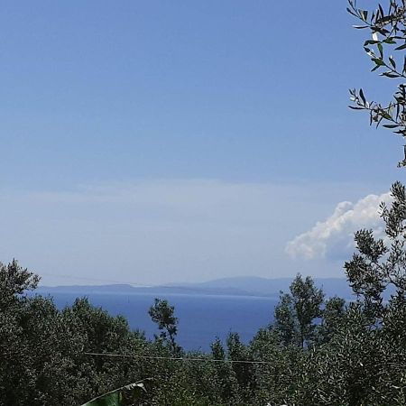 Daphnes Apartments Ρατζακλί Εξωτερικό φωτογραφία