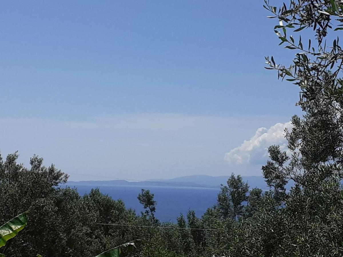 Daphnes Apartments Ρατζακλί Εξωτερικό φωτογραφία